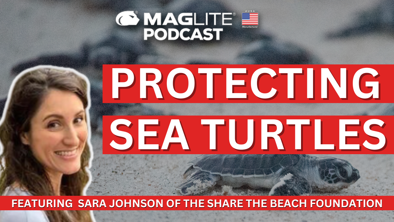 Protecting Sea Turtles