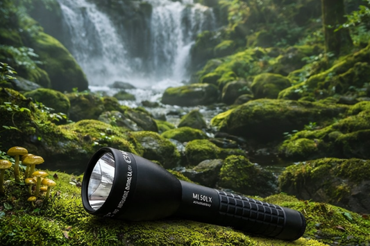 Essential Gear for Early Fall Adventures: What to Pack Before You Head Outside