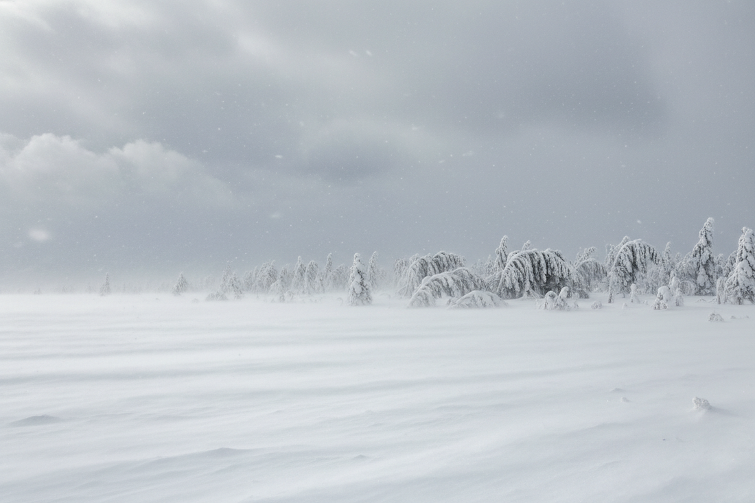 When Winter Knocks the Power Out (and You Instantly Forget Where Everything Is)