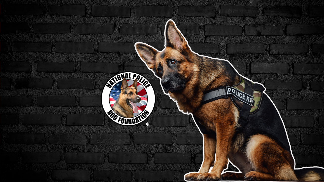 NATIONAL POLICE DOG FOUNDATION