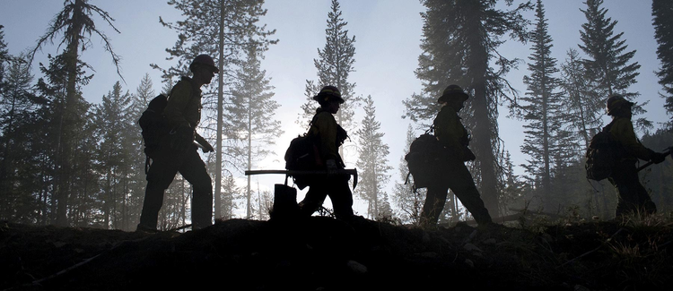firefighters walking