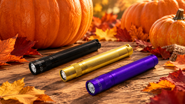 Fall Adventures Collection