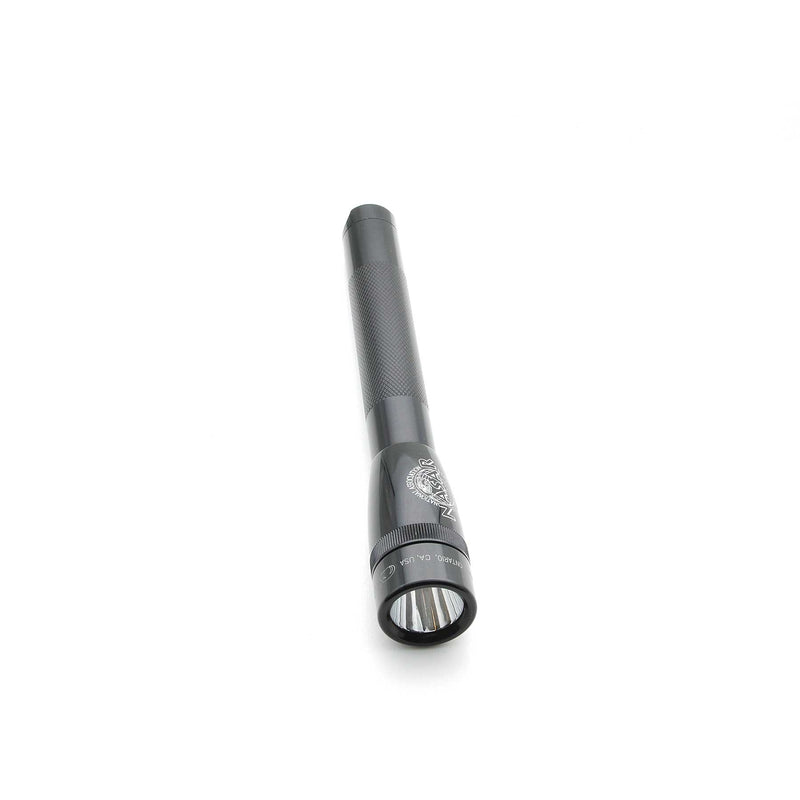 Mini Maglite LED 2AA - NASAR
