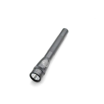 Mini Maglite LED 2AA - NASAR