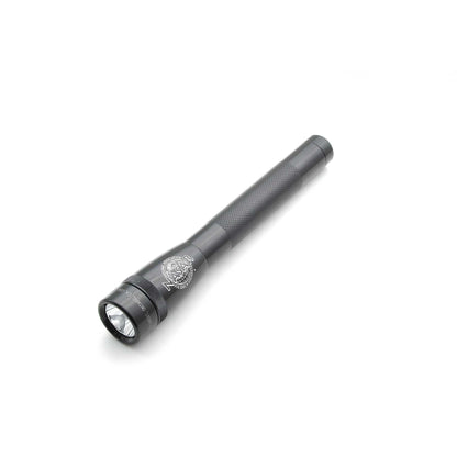 Mini Maglite LED 2AA - NASAR