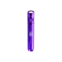 Dia De Los Muertos keychain flashlight